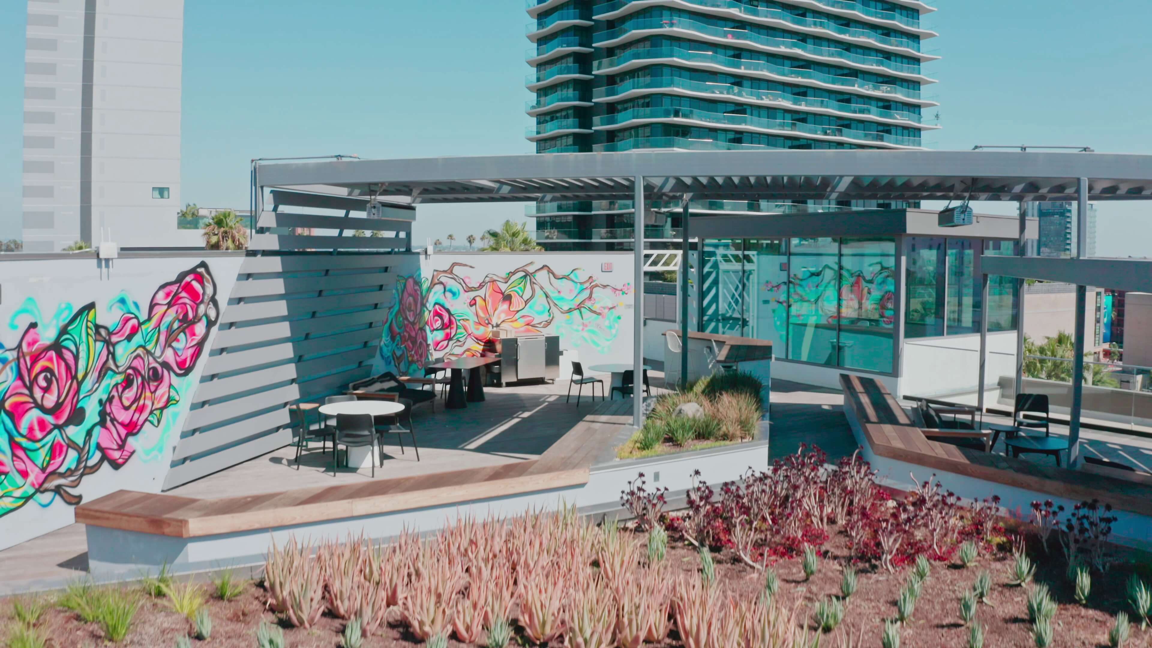 Rose murals and succulent gardens on the rooftop terrace at 1800 Vine St