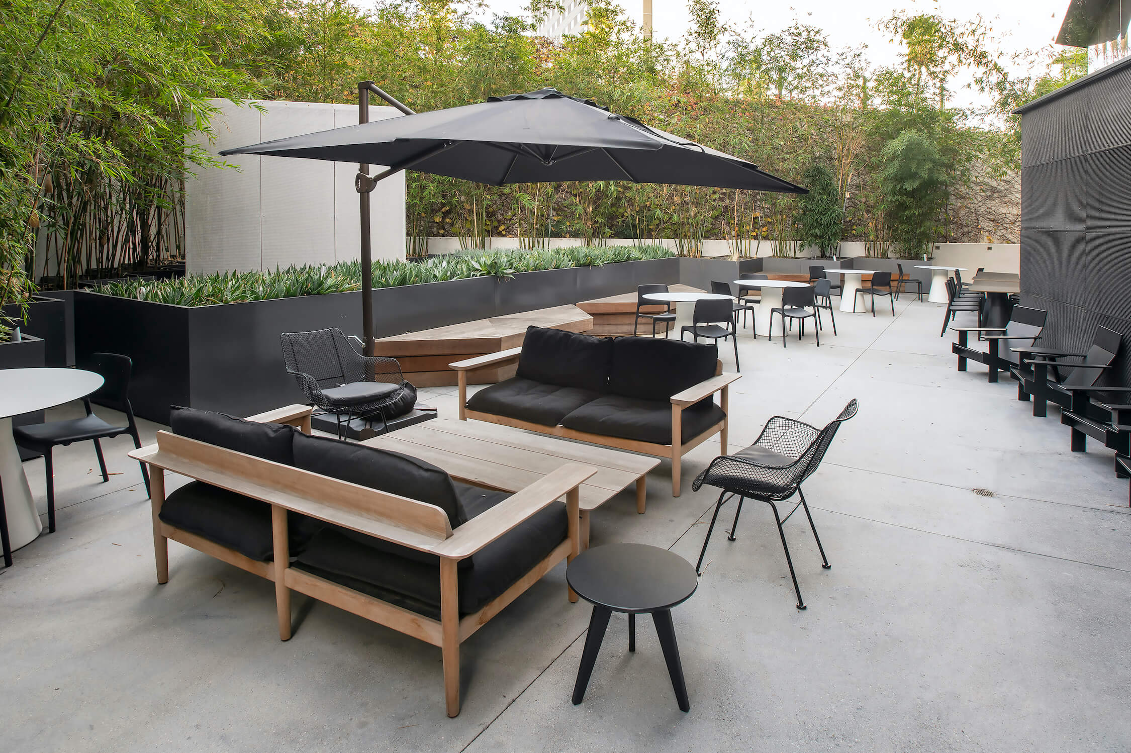 Lounge seating with bamboo and succulent backdrop on the Vine St. Patio at 1800 Vine St