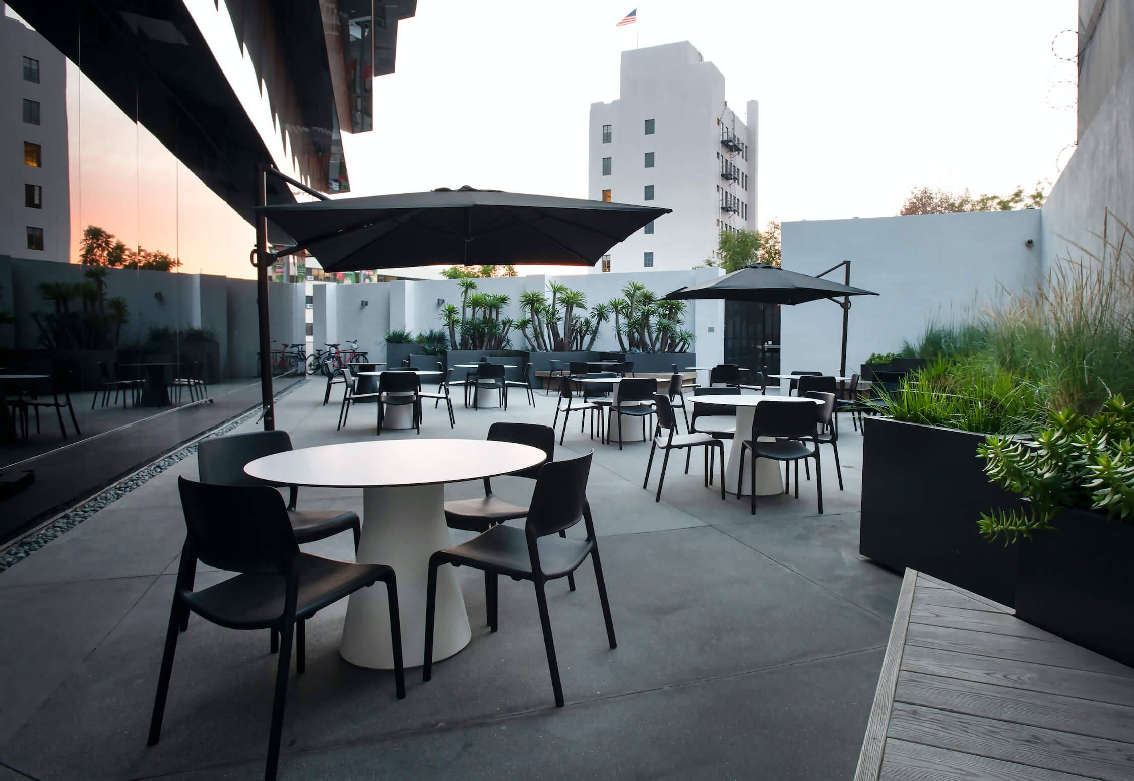 Vine St. Patio at golden hour with umbrella shading and palm planters at 1800 Vine St