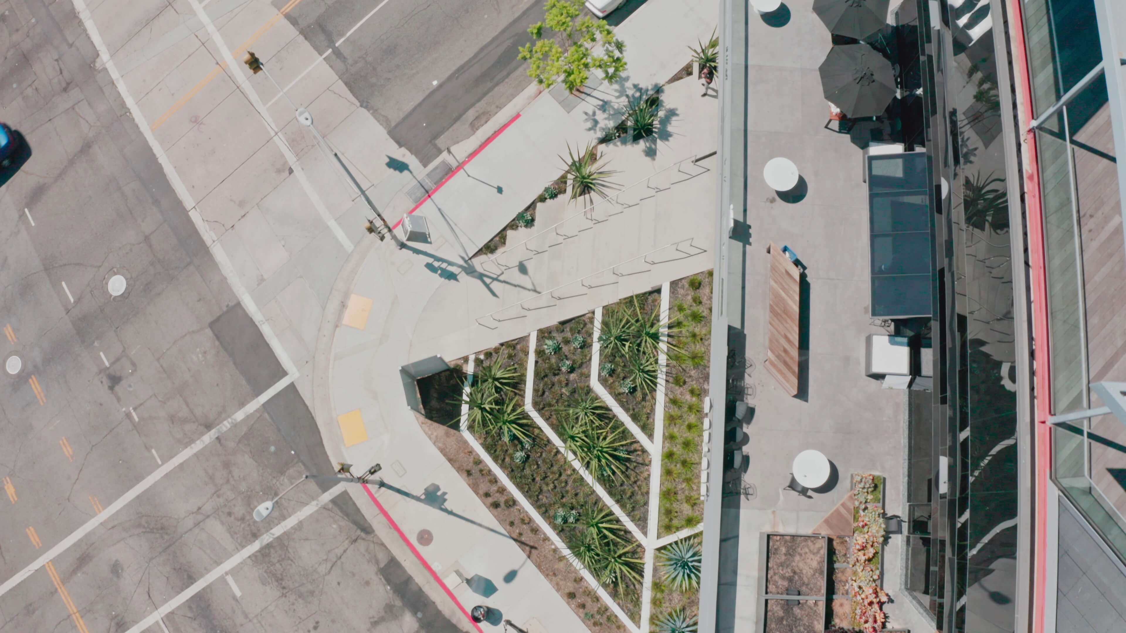 Street-level triangular garden with succulents at the corner of Vine and Yucca